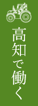 高知で働く