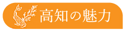 高知の魅力